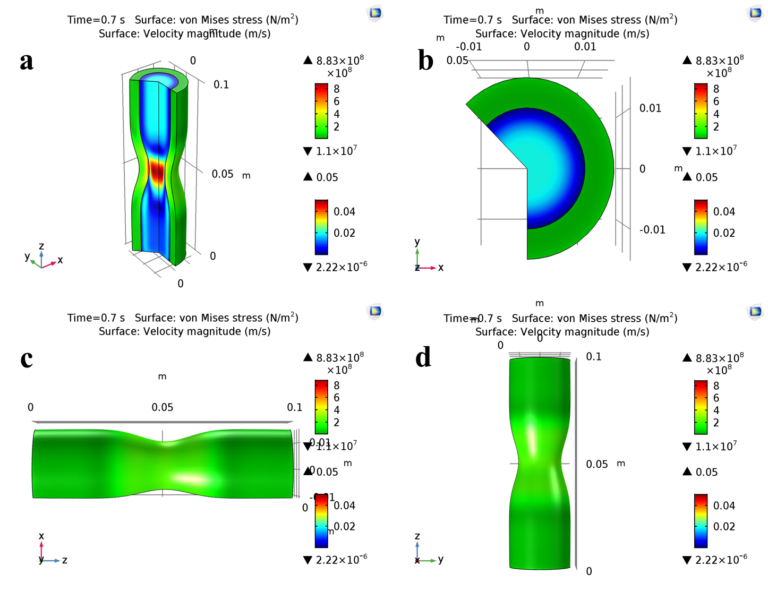 DR ASHISH JHA-COMSOL SIMULATION