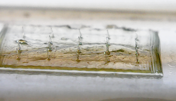 DR. ASHISH JHA-MICRONEEDLE